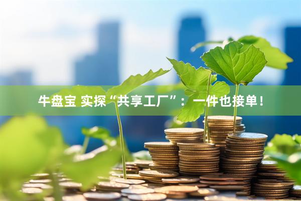 牛盘宝 实探“共享工厂”：一件也接单！