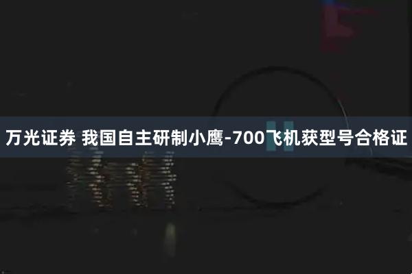 万光证券 我国自主研制小鹰-700飞机获型号合格证