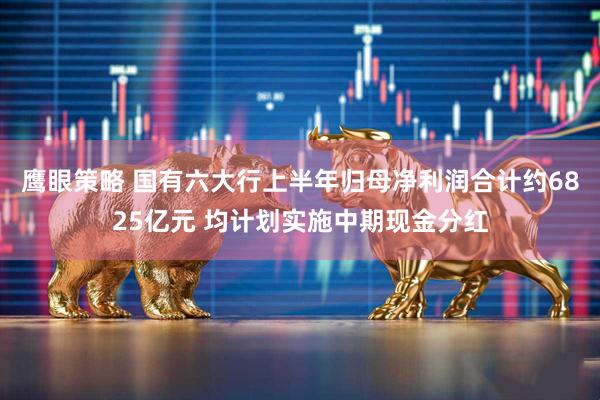 鹰眼策略 国有六大行上半年归母净利润合计约6825亿元 均计划实施中期现金分红